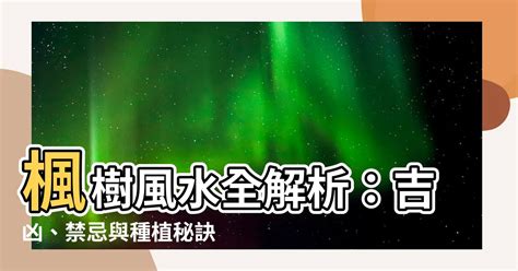 楓 風水|【楓樹風水】楓樹風水全解析：吉凶、禁忌與種植秘訣